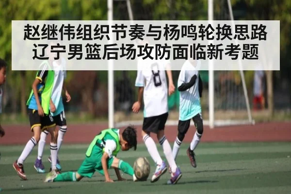 赵继伟组织节奏与杨鸣轮换思路 辽宁男篮后场攻防面临新考题